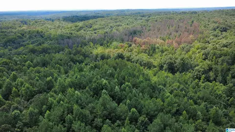 515 County Road 129, Ranburne, AL 36273 photo 44