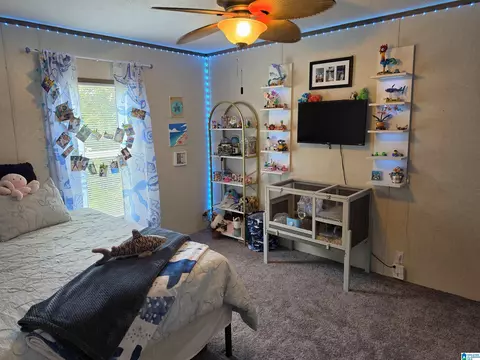 515 County Road 129, Ranburne, AL 36273 photo 29