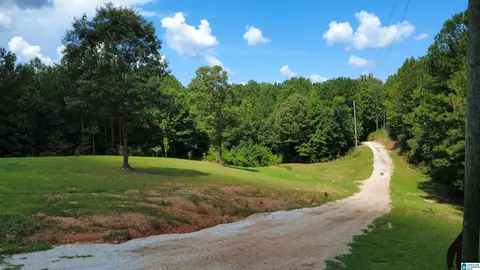 515 County Road 129, Ranburne, AL 36273 photo 41