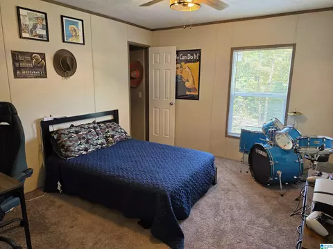 515 County Road 129, Ranburne, AL 36273 photo 27