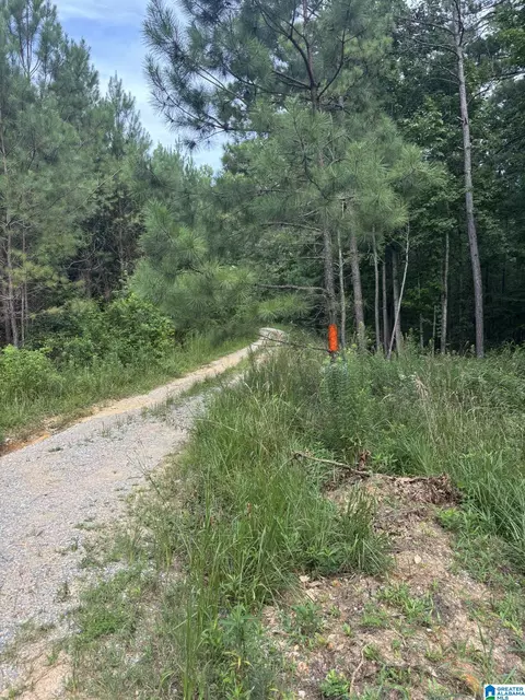 00 Union T Rd #TRACT 2, Talladega, AL 35160