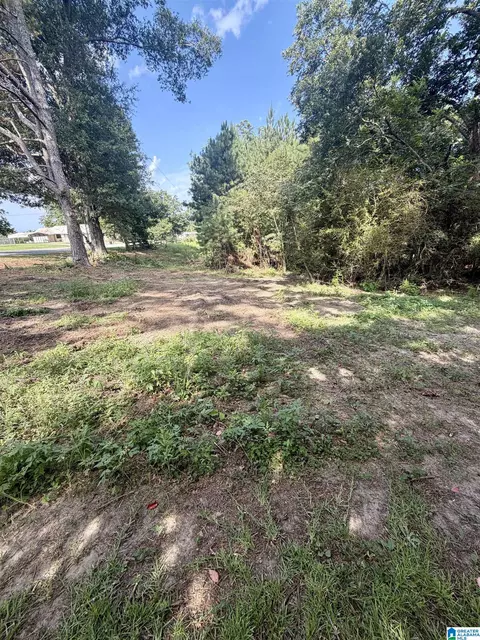 Other - 2675 County Road 28, Clanton, AL 35046 photo 14 of 14