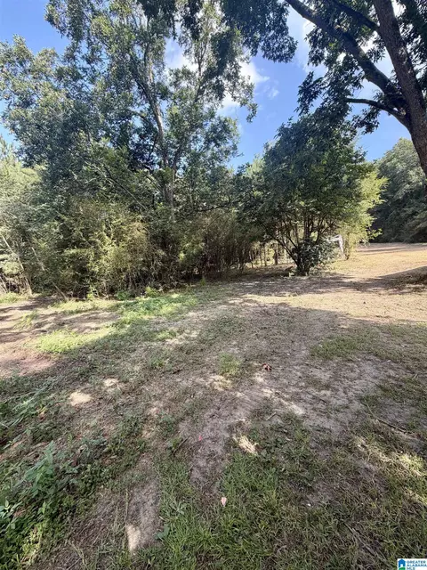 Other - 2675 County Road 28, Clanton, AL 35046 photo 13 of 14