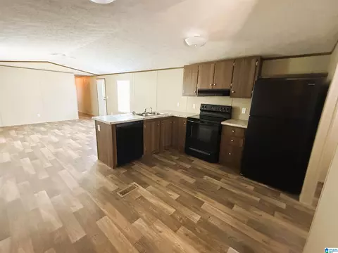 762 Davistown Rd, Section, AL 35771 photo 7