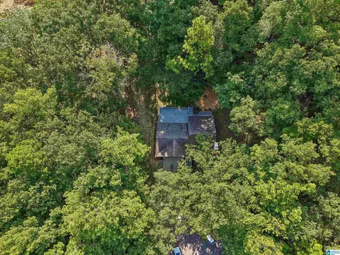 View/Area - 1017 Burnt Pine Ln, Maylene, AL 35114 photo 1 of 1