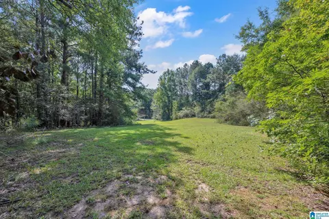 devon drive, Jasper, AL 35501 photo 2