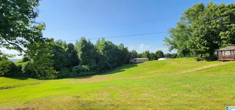 2811 Ebell Rd, Oneonta, AL 35121 photo 24