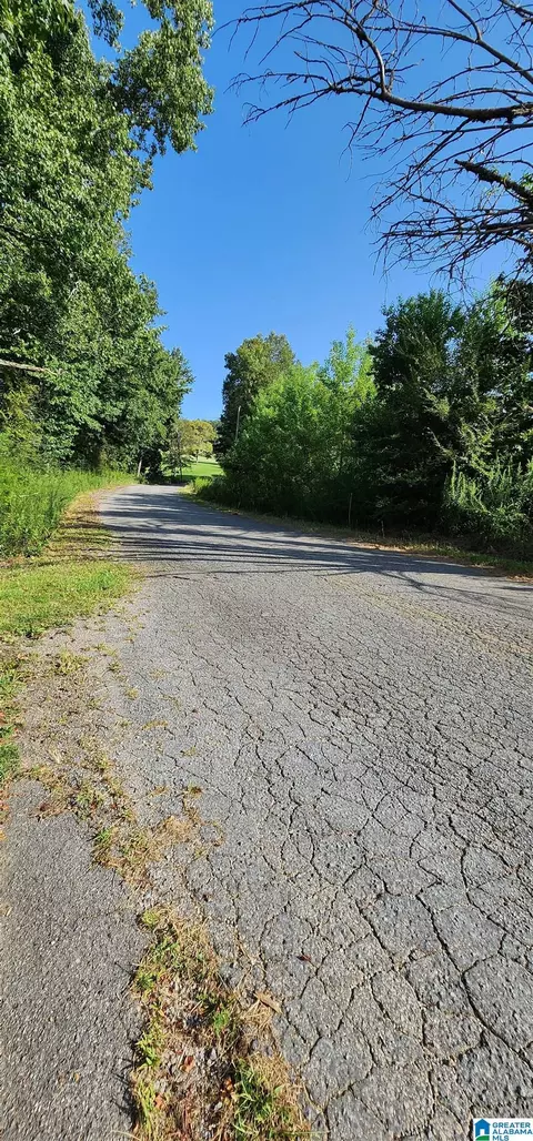 2811 Ebell Rd, Oneonta, AL 35121 photo 54