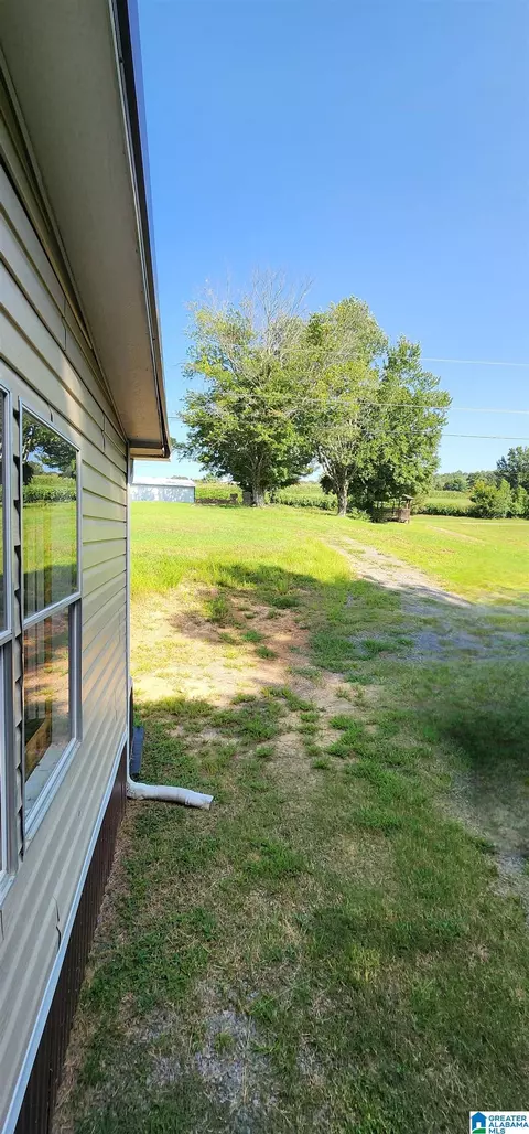2811 Ebell Rd, Oneonta, AL 35121 photo 30