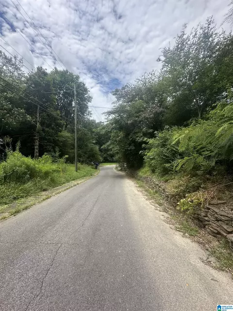 Other - 275 Commerce Ave, Dora, AL 35062 photo 9 of 9