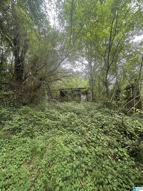 Other - 275 Commerce Ave, Dora, AL 35062 photo 8 of 9