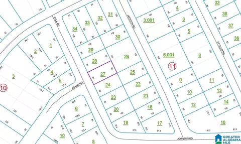 0 Polk Rd #447A, Ashville, AL 35953