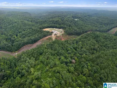 1014 Pumpkin Center Cut Off Rd #0, Quinton, AL 35130