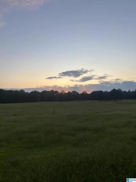 4759 County Road 55 #1, Wilsonville, AL 35186