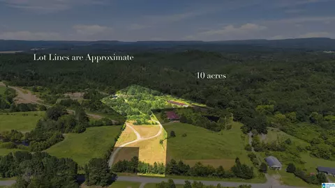 0000 County Highway 13 #LOT 7 TOTAL 10 ACRES NEW SURVEY , Cleveland, AL 35049