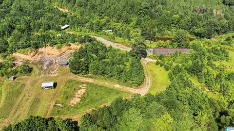 0000 County Highway 13 #LOT 7 TOTAL 10 ACRES NEW SURVEY , Cleveland, AL 35049