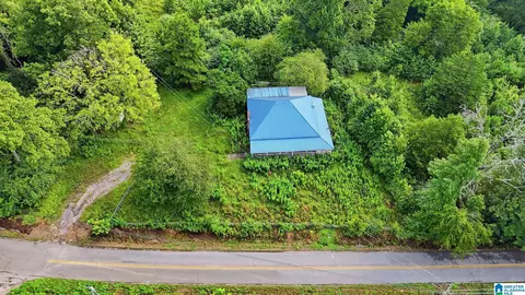 Other - 501 Thomas Rd, Warrior, AL 35180 photo 8 of 14
