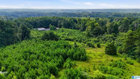 Other - 501 Thomas Rd, Warrior, AL 35180 photo 12 of 14