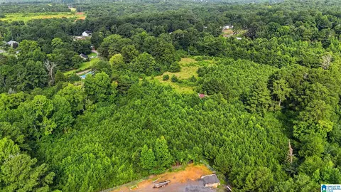 Other - 501 Thomas Rd, Warrior, AL 35180 photo 5 of 14