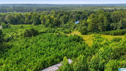 Other - 501 Thomas Rd, Warrior, AL 35180 photo 7 of 14