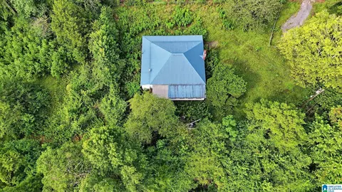 Other - 501 Thomas Rd, Warrior, AL 35180 photo 3 of 14