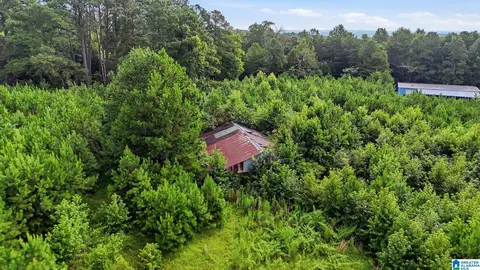 Other - 501 Thomas Rd, Warrior, AL 35180 photo 6 of 14