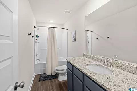 Bath - 9944 Hunter Pl, Warrior, AL 35180 photo 2 of 3