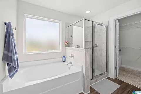 Bath - 9944 Hunter Pl, Warrior, AL 35180 photo 3 of 3
