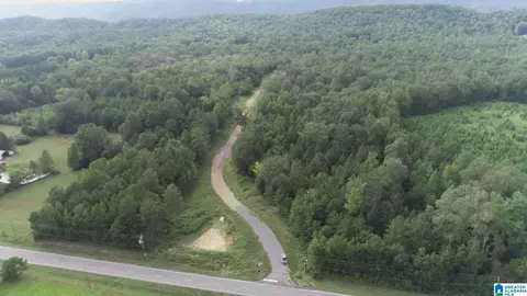 20 Scenic Valley Rd #TRACT 5, Springville, AL 35146