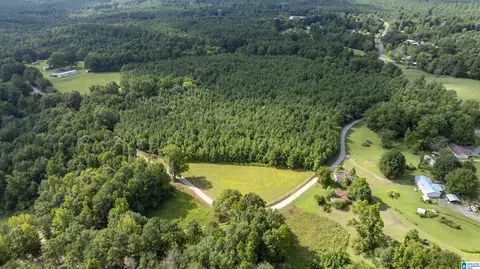 0 County Road 39 #40 AC., Hanceville, AL 35077