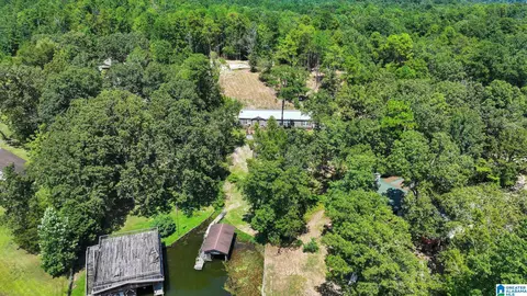 140 County Road 196, Clanton, AL 35046 photo 55