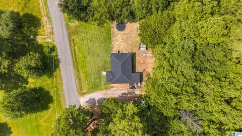 View/Area - 1511 Campbell Loop Rd, Mount Olive, AL 35117 photo 1 of 2