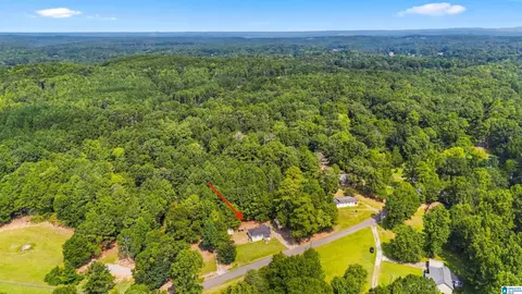 View/Area - 1511 Campbell Loop Rd, Mount Olive, AL 35117 photo 2 of 2