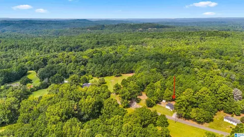 Other - 1511 Campbell Loop Rd, Mount Olive, AL 35117 photo 10 of 10