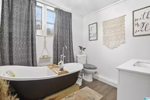 Bath - 199 Saragossa Rd, Jasper, AL 35503 photo 2 of 2