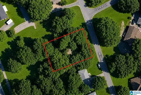 161 Mill Rd #2, Springville, AL 35146