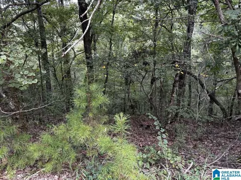 63 Acres Stanley Rd #0, Brookwood, AL 35444