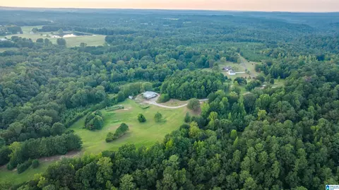 0 Pockett Rd #1, Northport, AL 35475