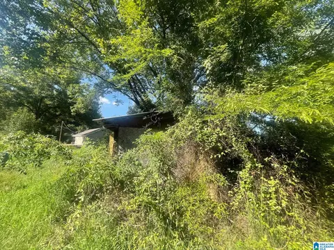 Exterior - 507 County Rd, Centre, AL 35960 photo 2 of 12