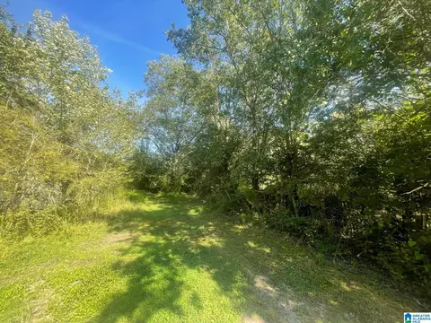 Other - 507 County Rd, Centre, AL 35960 photo 8 of 19