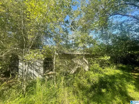 Exterior - 507 County Rd, Centre, AL 35960 photo 8 of 12