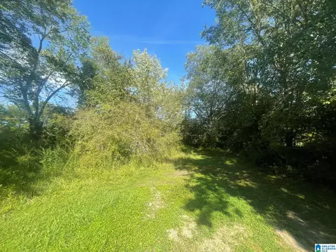Other - 507 County Rd, Centre, AL 35960 photo 14 of 19