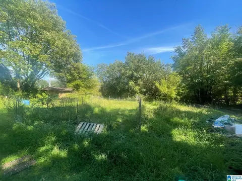 Exterior - 507 County Rd, Centre, AL 35960 photo 6 of 12