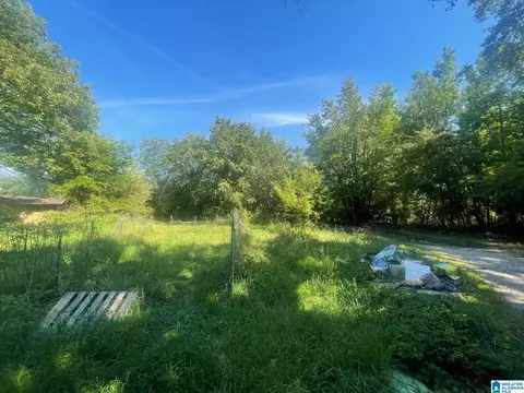 Exterior - 507 County Rd, Centre, AL 35960 photo 10 of 12