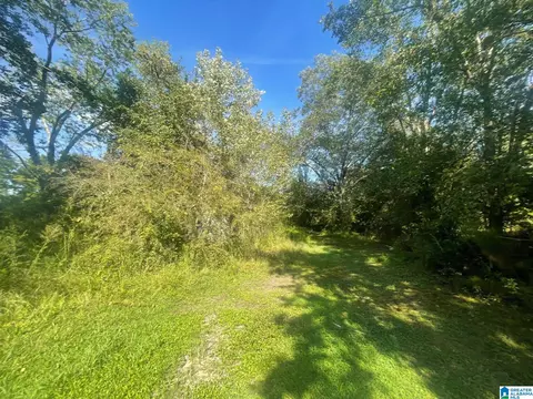 Other - 507 County Rd, Centre, AL 35960 photo 11 of 19