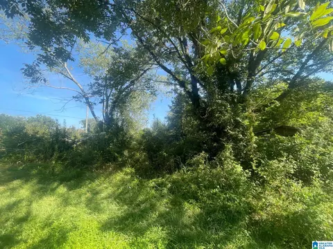 Other - 507 County Rd, Centre, AL 35960 photo 10 of 19