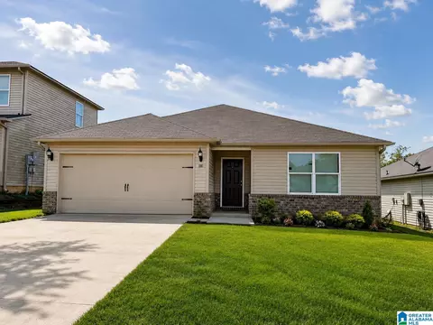 100 Buckhorn Ln, Lincoln, AL 35096