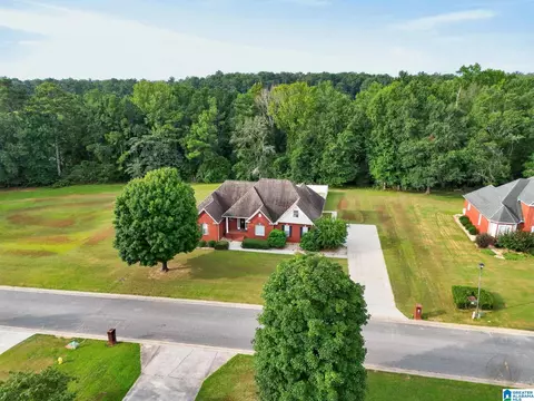 View/Area - 214 Buck Cir, Clanton, AL 35045 photo 1 of 6
