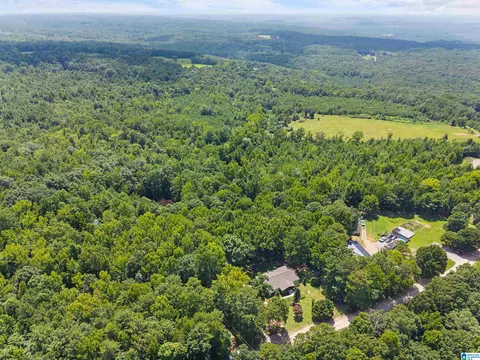 View/Area - 165 Brewer Ln, Warrior, AL 35180 photo 5 of 7