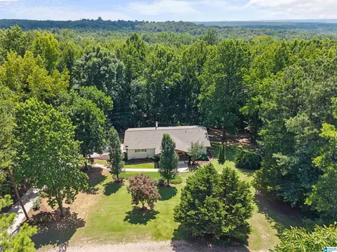 View/Area - 165 Brewer Ln, Warrior, AL 35180 photo 2 of 7